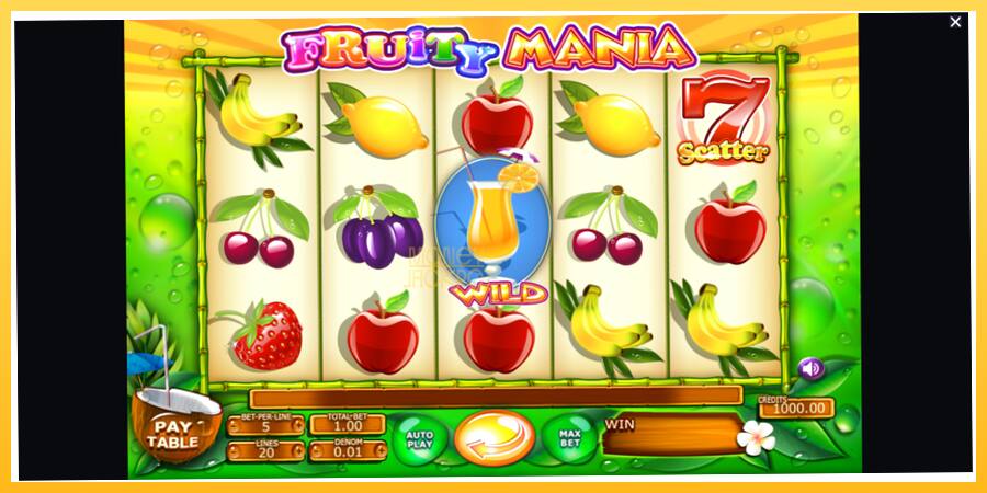 Игровой аппарат Fruity Mania - игра на реальные деньги, картинка 1