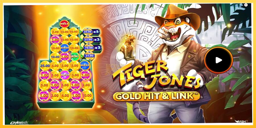 Игровой аппарат Gold Hit & Link: Tiger Jones - игра на реальные деньги, картинка 1