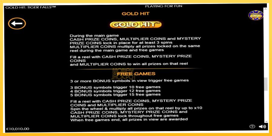 Игровой аппарат Gold Hit: Tiger Falls - игра на реальные деньги, картинка 6