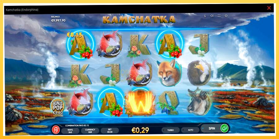 Игровой аппарат Kamchatka - игра на реальные деньги, картинка 1