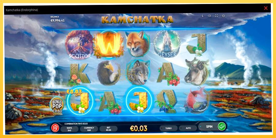 Игровой аппарат Kamchatka - игра на реальные деньги, картинка 3