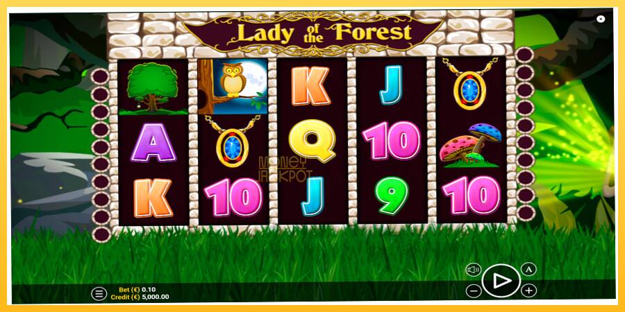 Игровой аппарат Lady of the Forest - игра на реальные деньги, картинка 1