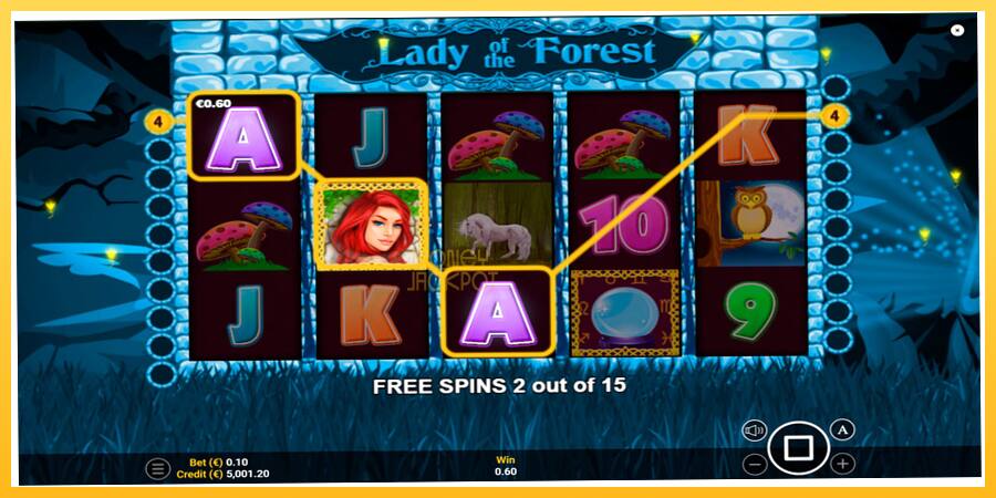 Игровой аппарат Lady of the Forest - игра на реальные деньги, картинка 2