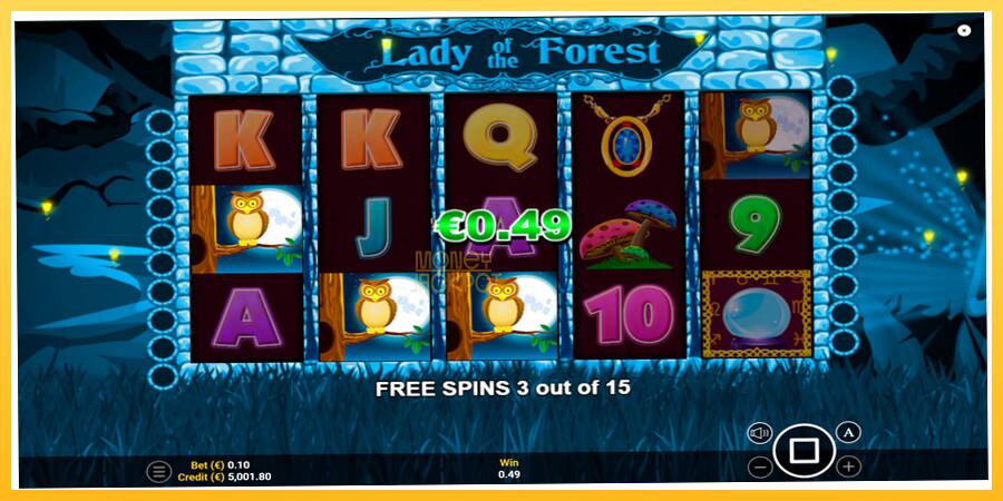 Игровой аппарат Lady of the Forest - игра на реальные деньги, картинка 3