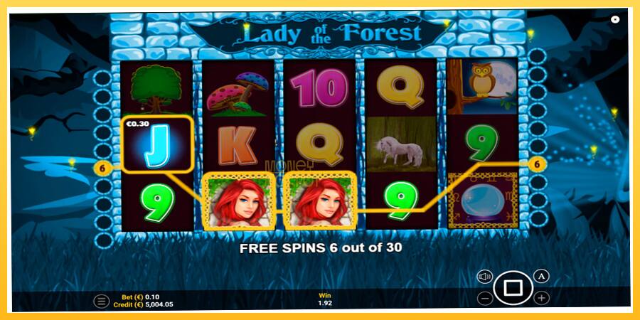 Игровой аппарат Lady of the Forest - игра на реальные деньги, картинка 4