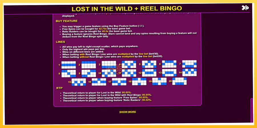 Игровой аппарат Lost in the Wild with Reel Bingo - игра на реальные деньги, картинка 7