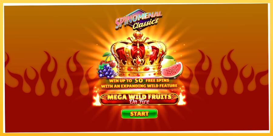 Игровой аппарат Mega Wild Fruits - On Fire - игра на реальные деньги, картинка 1