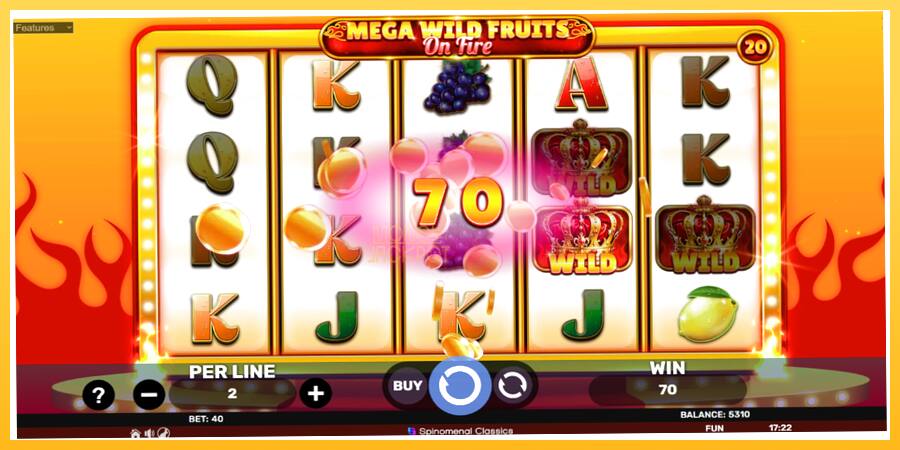 Игровой аппарат Mega Wild Fruits - On Fire - игра на реальные деньги, картинка 4