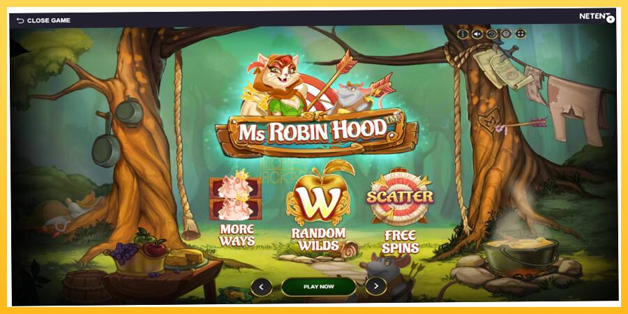 Игровой аппарат Ms Robin Hood - игра на реальные деньги, картинка 1