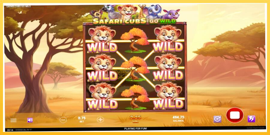 Игровой аппарат Safari Cubs Go Wild - игра на реальные деньги, картинка 3