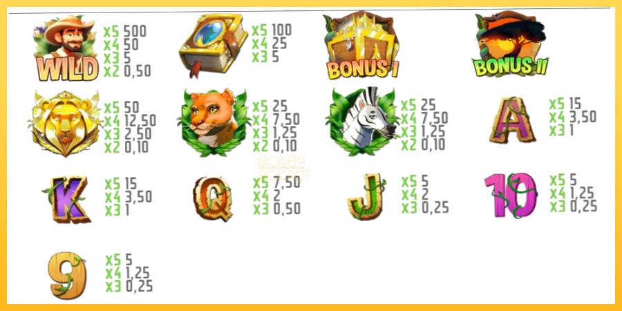 Игровой аппарат Safari Treasure - игра на реальные деньги, картинка 4