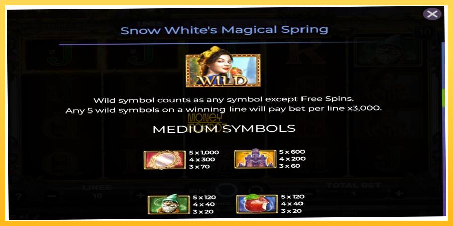 Игровой аппарат Snow Whites Magical Spring - игра на реальные деньги, картинка 5