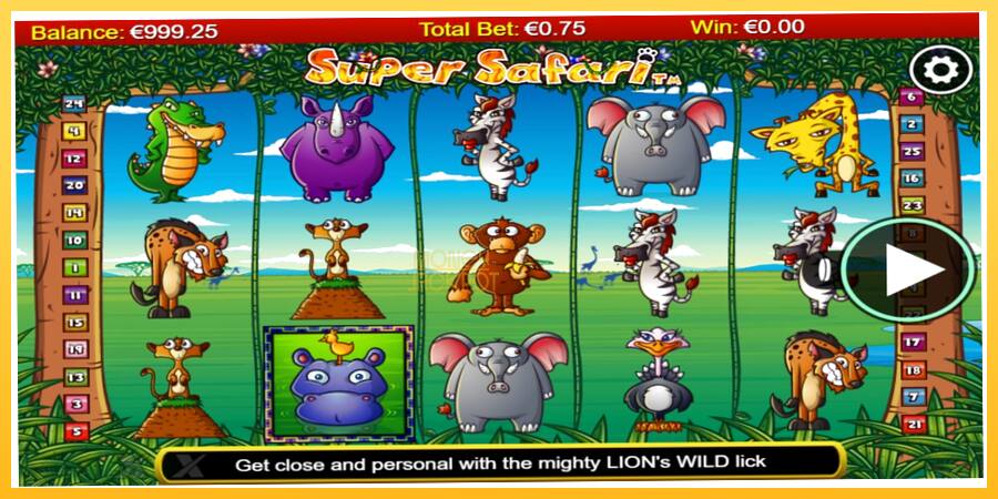 Игровой аппарат Super Safari - игра на реальные деньги, картинка 1