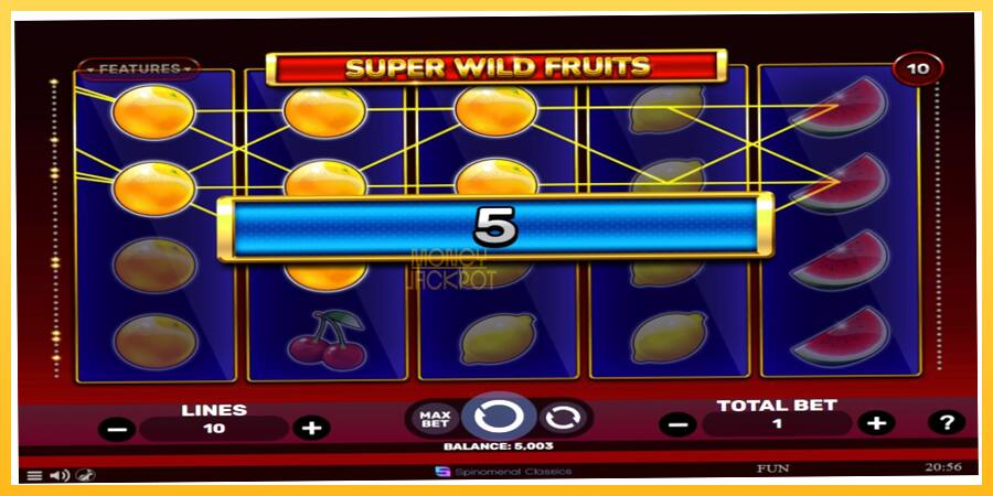 Игровой аппарат Super Wild Fruits - игра на реальные деньги, картинка 2