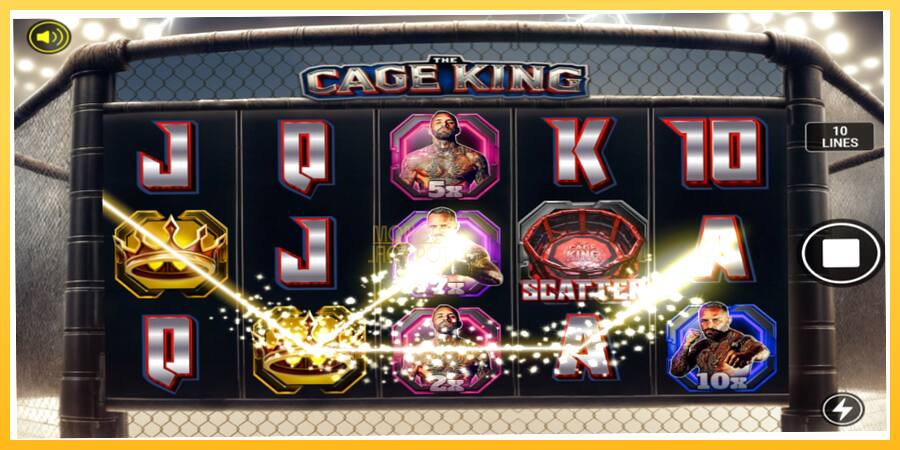 Игровой аппарат The Cage King - игра на реальные деньги, картинка 2