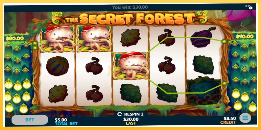 Игровой аппарат The Secret Forest - игра на реальные деньги, картинка 3