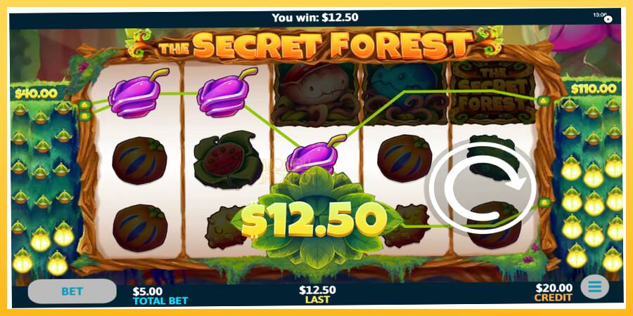 Игровой аппарат The Secret Forest - игра на реальные деньги, картинка 4