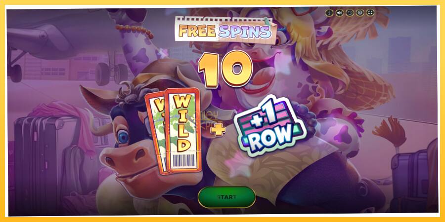 Игровой аппарат Ticket To Wild - игра на реальные деньги, картинка 3