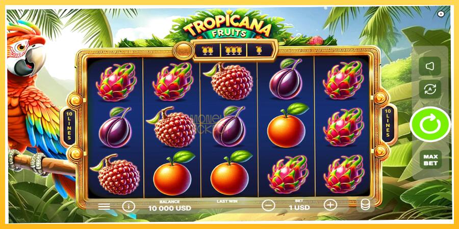 Игровой аппарат Tropicana Fruits - игра на реальные деньги, картинка 2