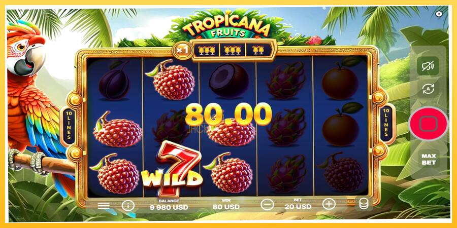 Игровой аппарат Tropicana Fruits - игра на реальные деньги, картинка 3