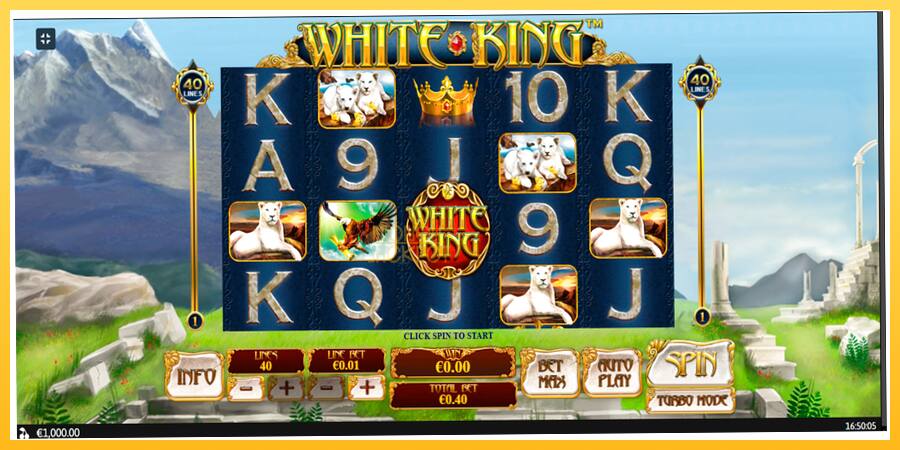 Игровой аппарат White King - игра на реальные деньги, картинка 1