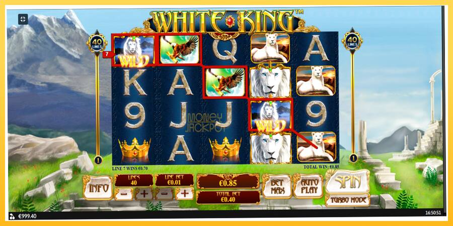 Игровой аппарат White King - игра на реальные деньги, картинка 4