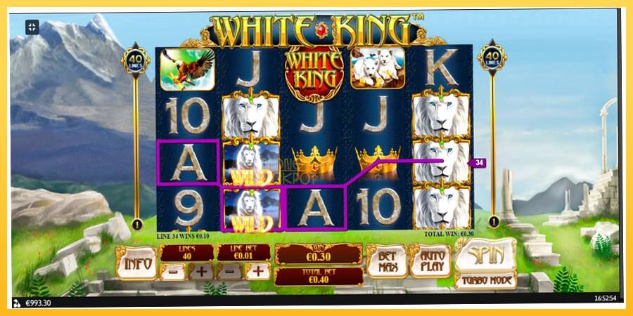 Игровой аппарат White King - игра на реальные деньги, картинка 9