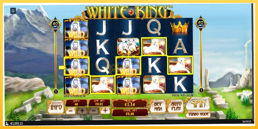 Игровой аппарат White King - игра на реальные деньги, картинка 11