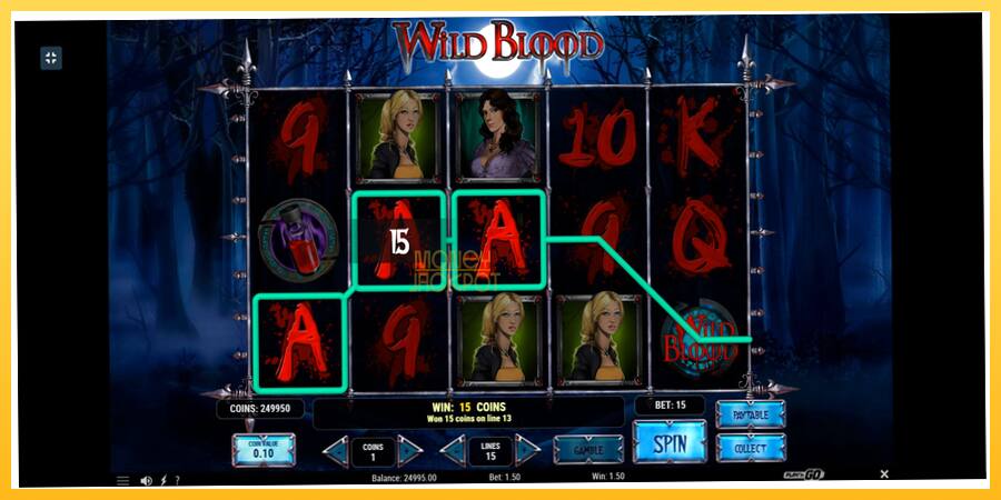 Игровой аппарат Wild Blood - игра на реальные деньги, картинка 3