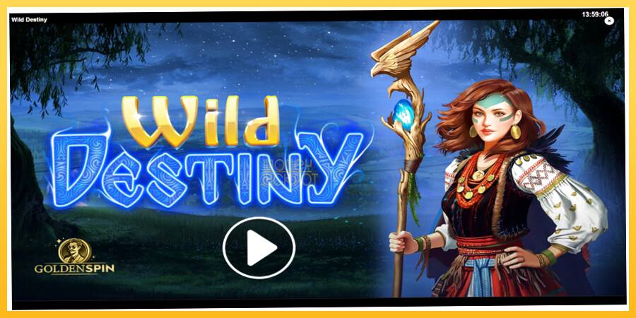 Игровой аппарат Wild Destiny - игра на реальные деньги, картинка 1