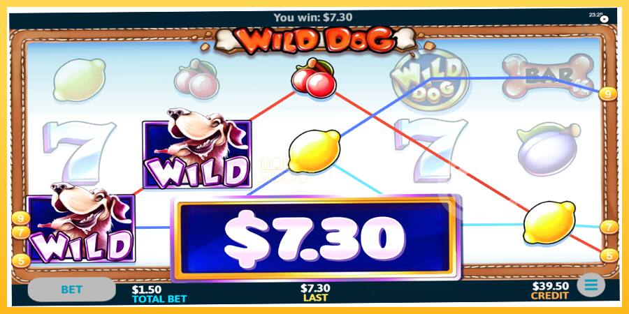 Игровой аппарат Wild Dog - игра на реальные деньги, картинка 2