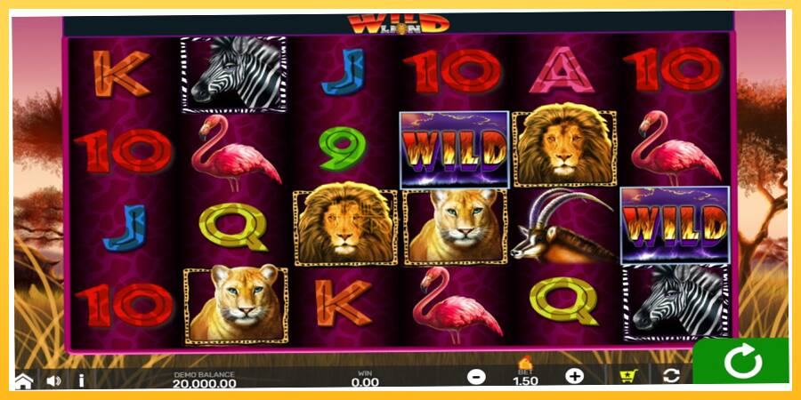 Игровой аппарат Wild Lion with Reel Bingo - игра на реальные деньги, картинка 1