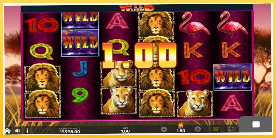 Игровой аппарат Wild Lion with Reel Bingo - игра на реальные деньги, картинка 2