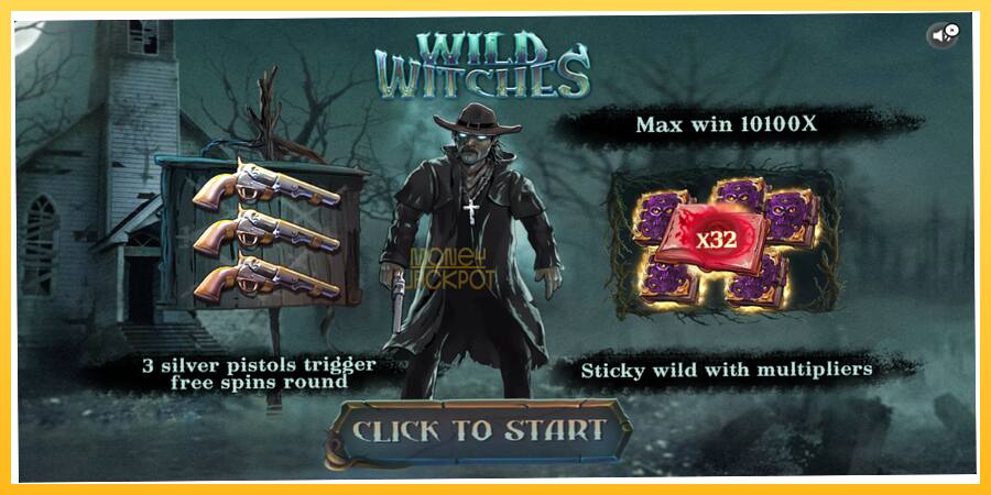 Игровой аппарат Wild Witches - игра на реальные деньги, картинка 1