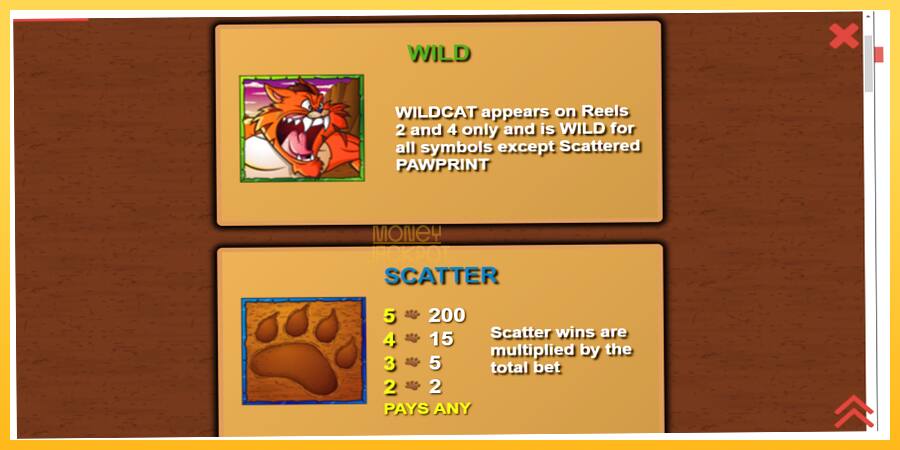 Игровой аппарат Wildcat Canyon - игра на реальные деньги, картинка 5